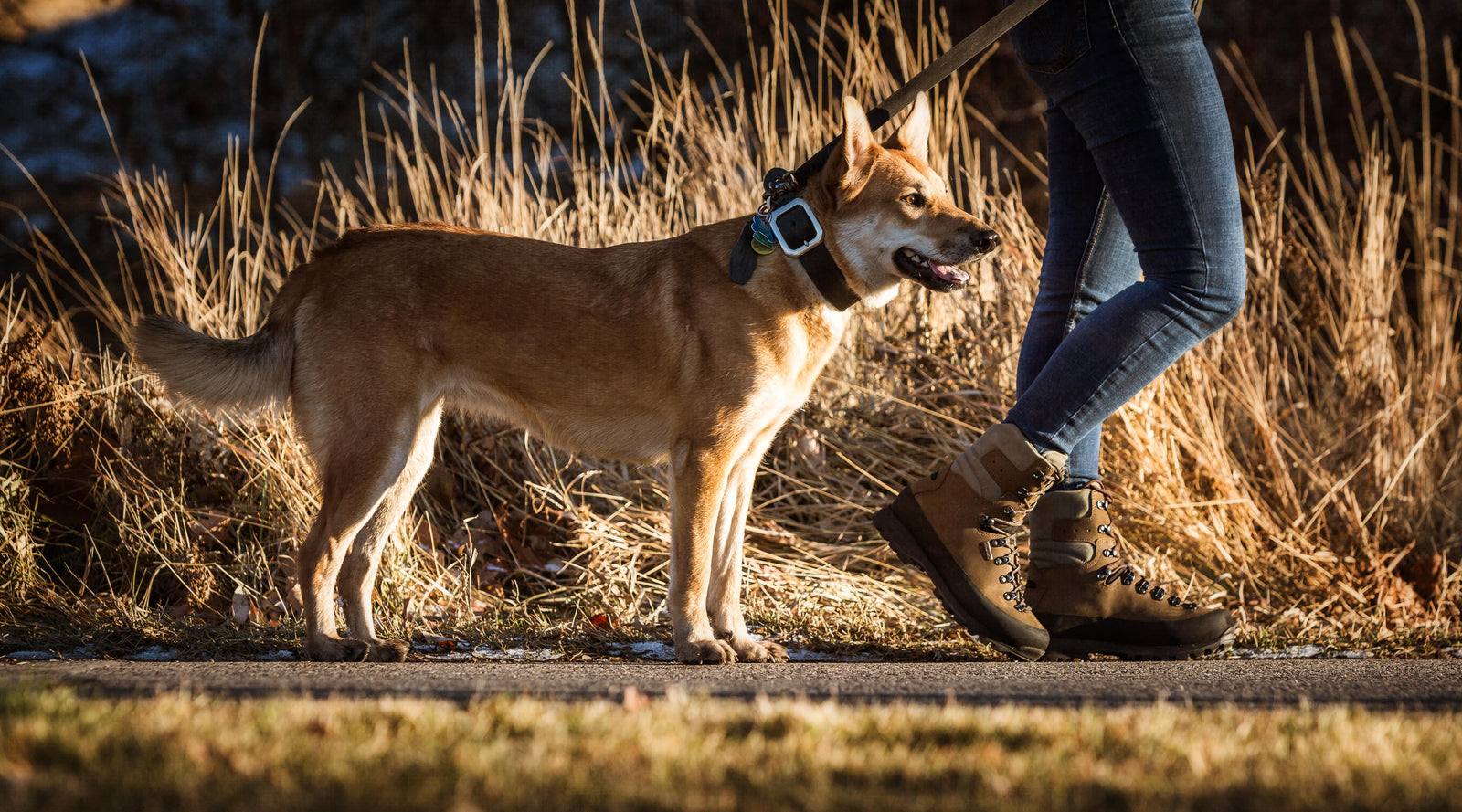 Women's Hiking Boots