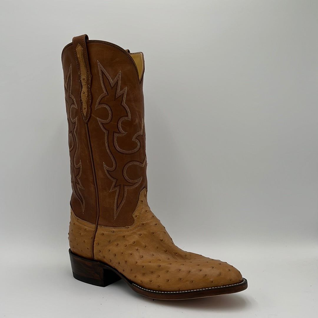 Carter&#39;s Saddle FQ Ostrich 11.5D