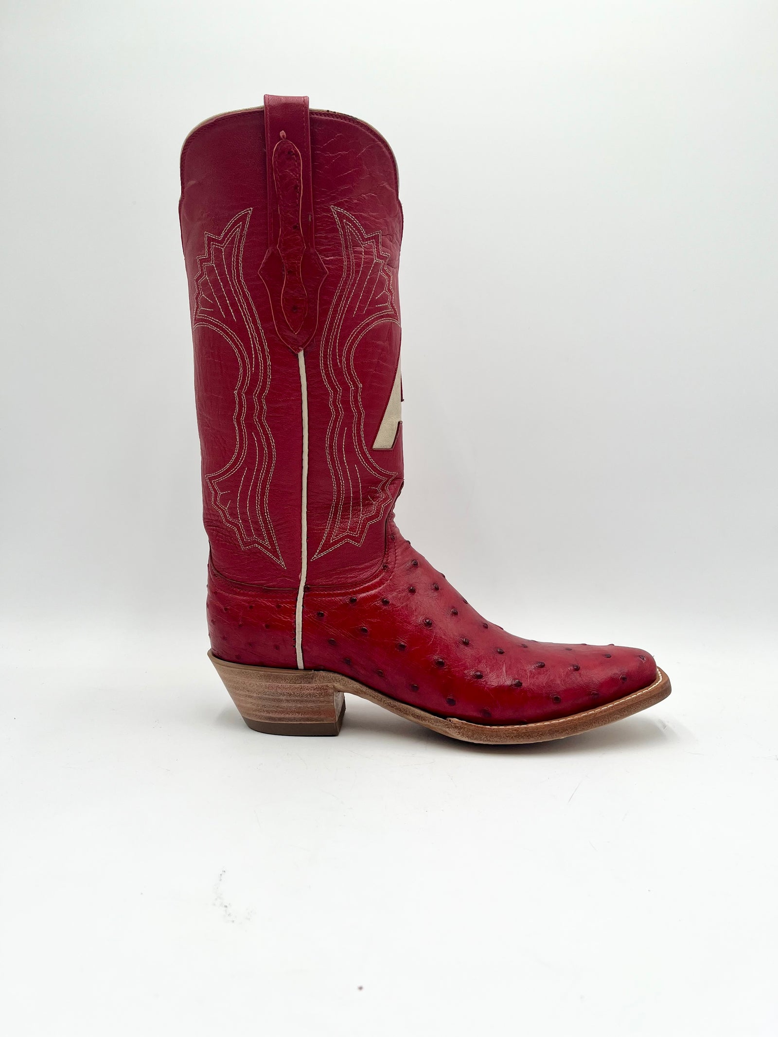 Full Quill Ostrich 9B