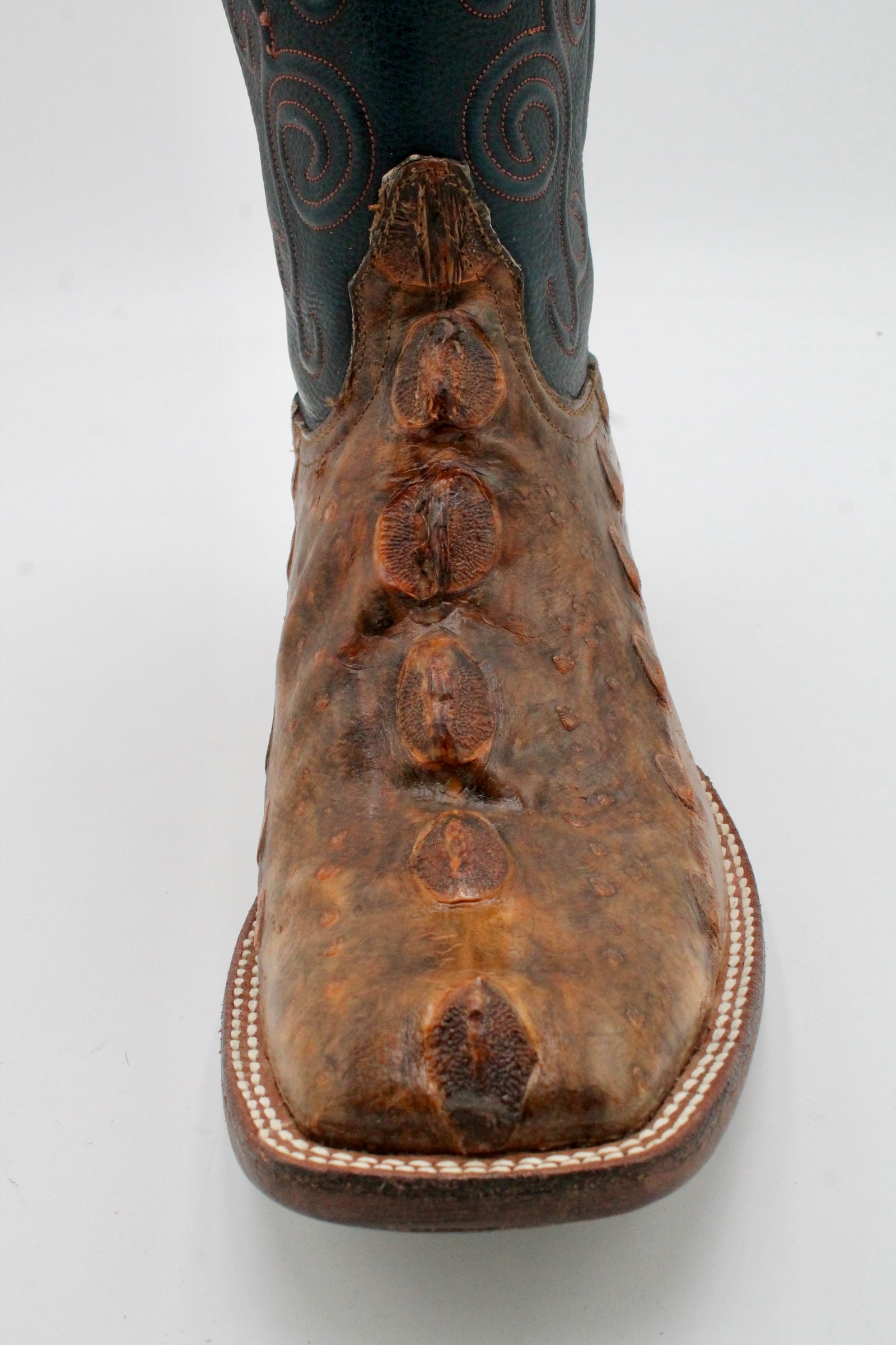 Black Jack  Cognac Sturgeon 11D