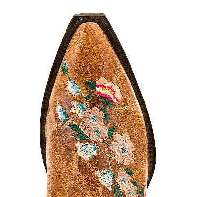 Never Promised you a Rose Garden