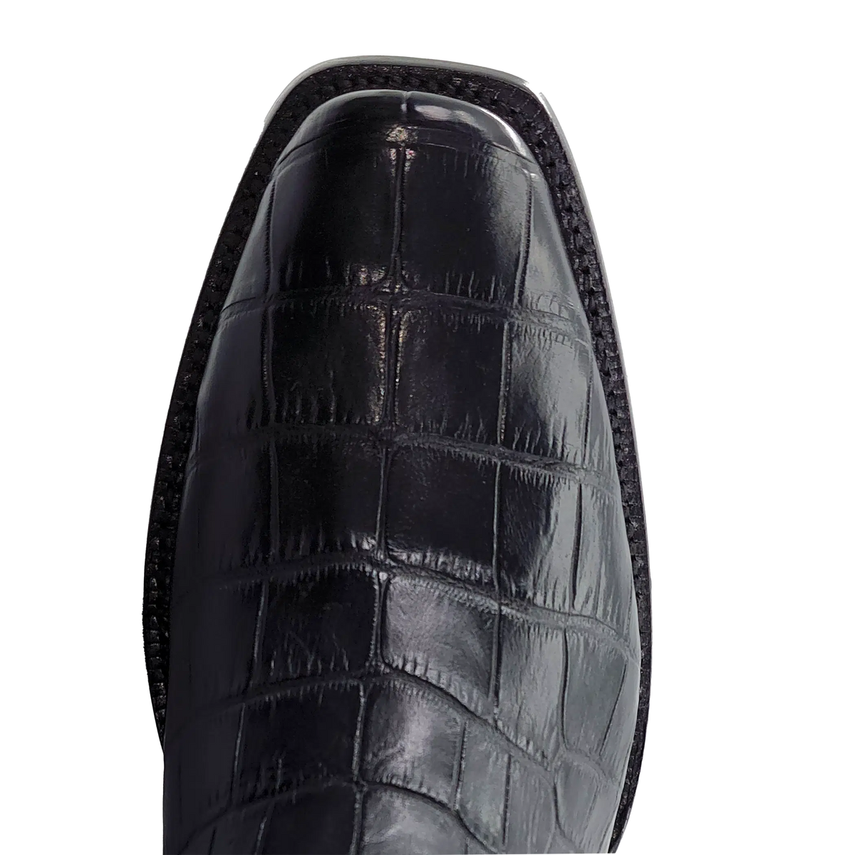 RW9900 Alligator d'Amérique noir exotique