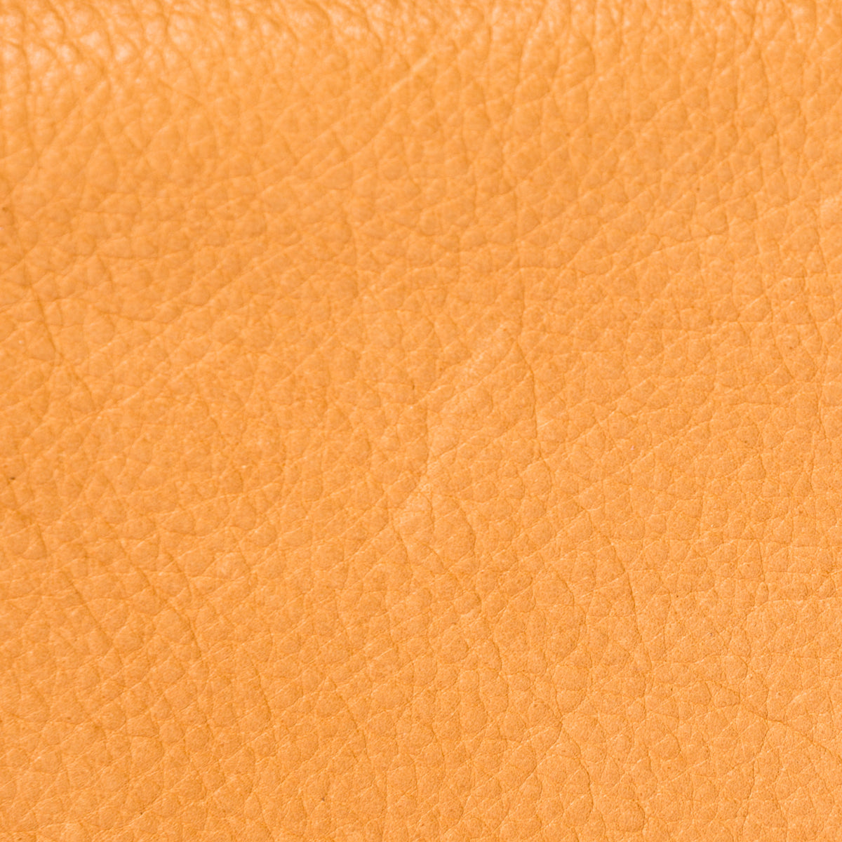 Zipper Coin Pouch (Large)
