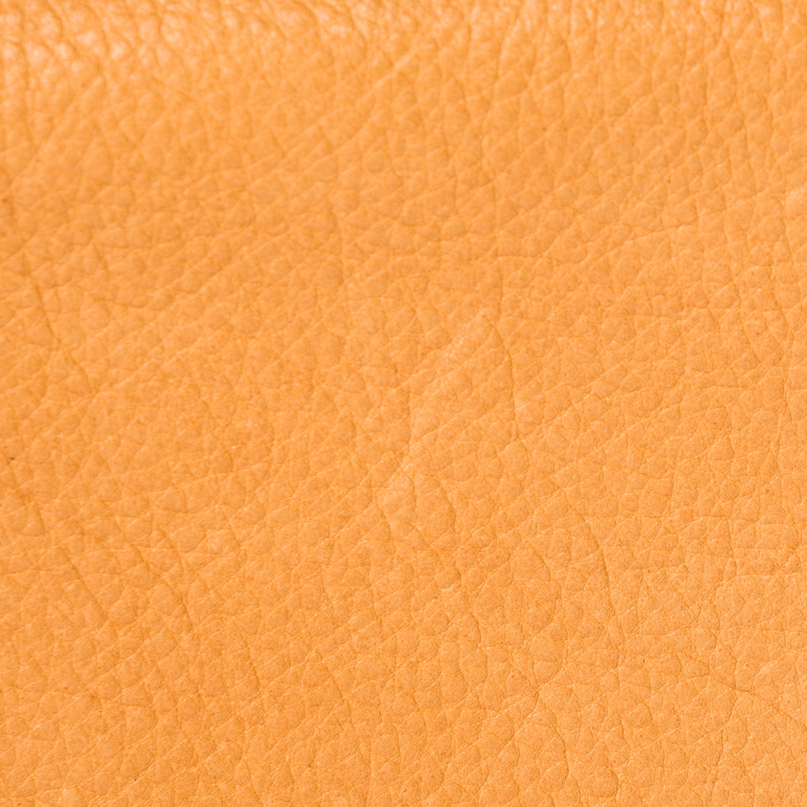 4 Pocket Credit Card Case