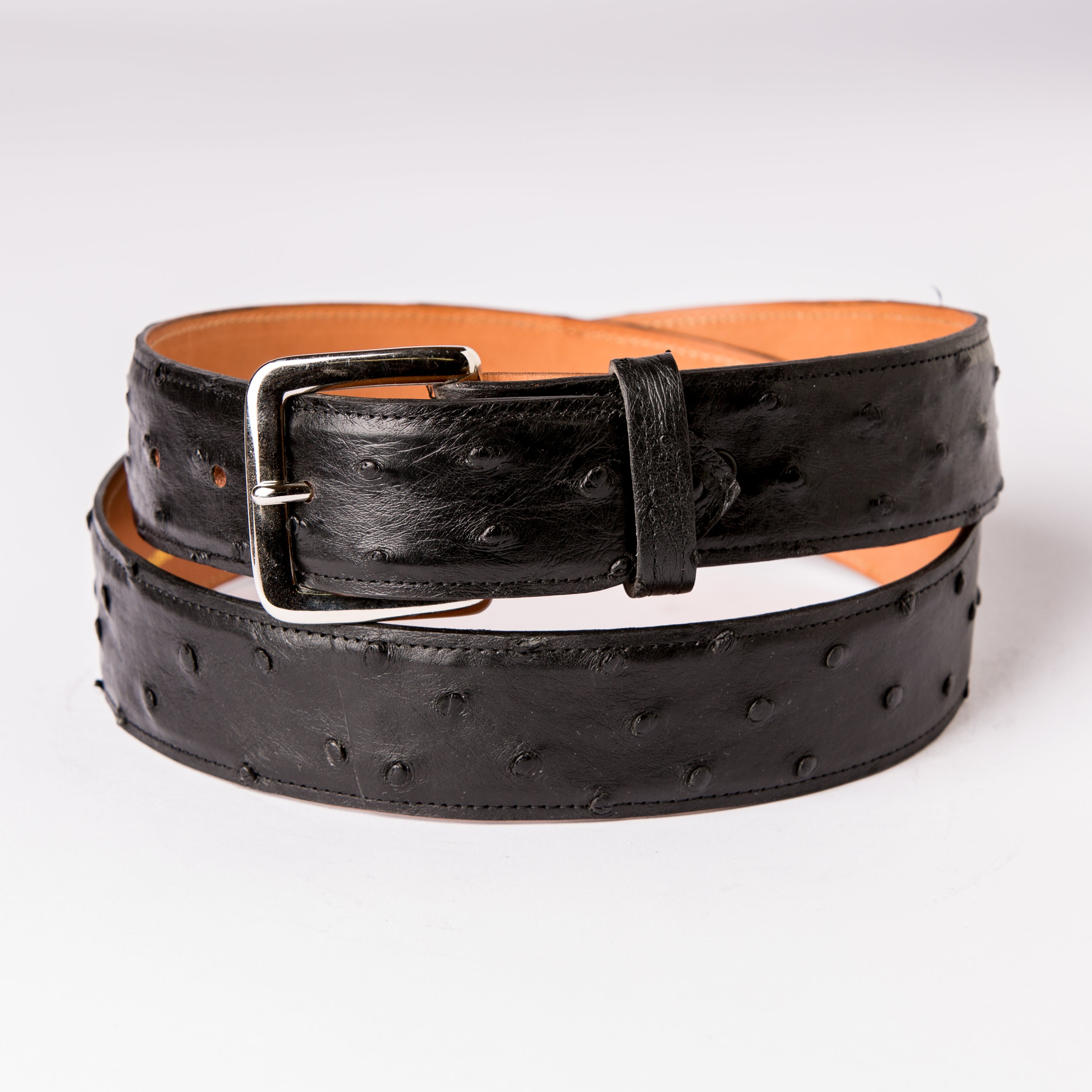 Nogales 1.5” Full Quill Ostrich Belt 28 / Black Nogales 1.5” Full Quill Ostrich Belt 28 / Black